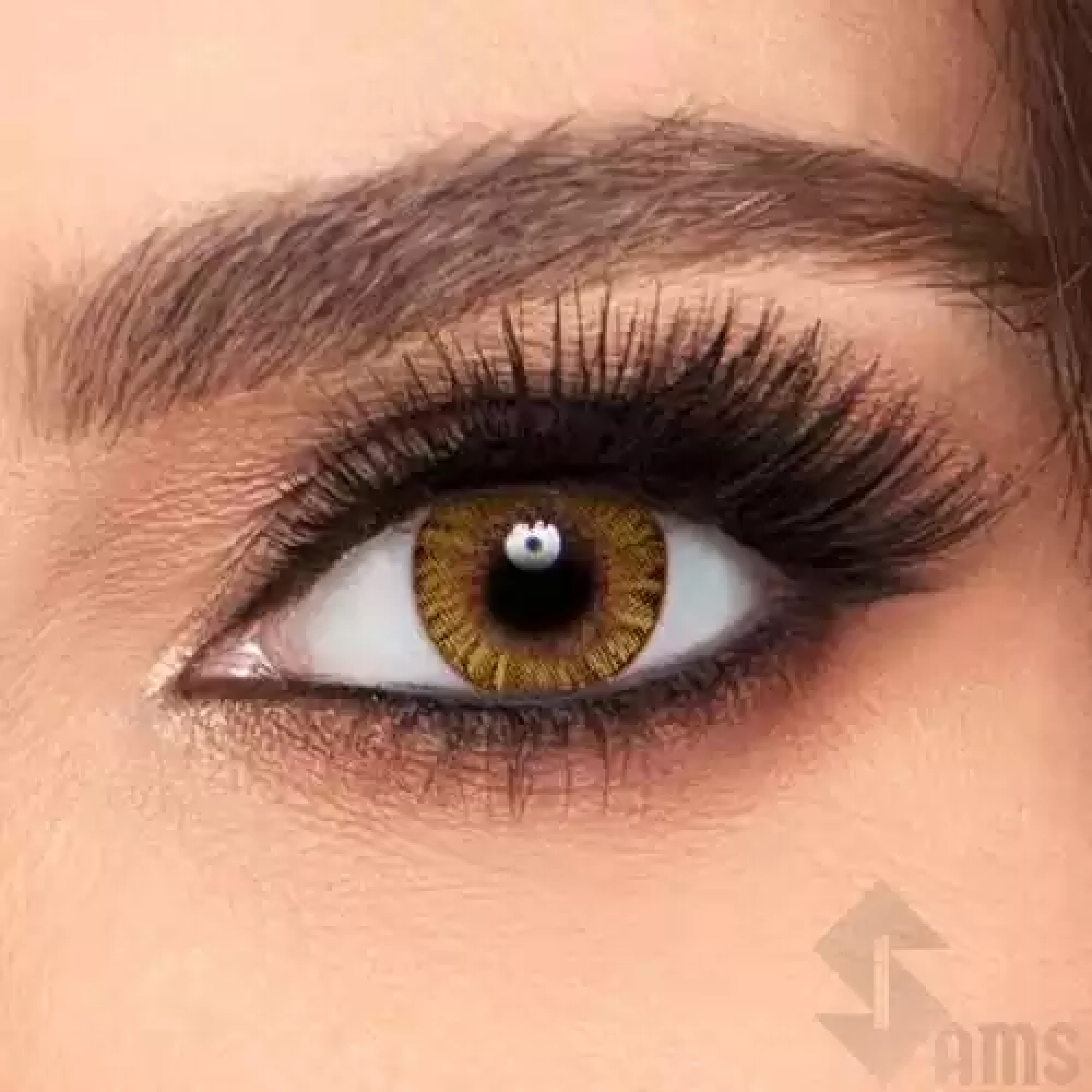 Freshlook contact lensespure hazel.webp